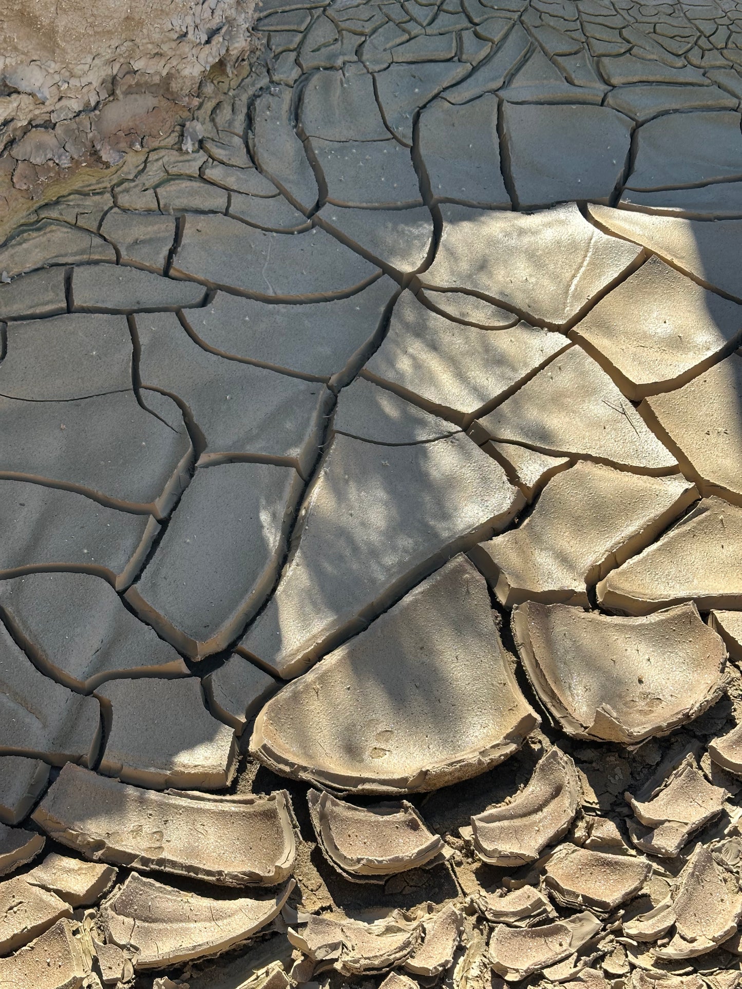 Wild Clay and Alternate Firings Exploration (Saturdays, April 4 - May 9) - Spring 2026